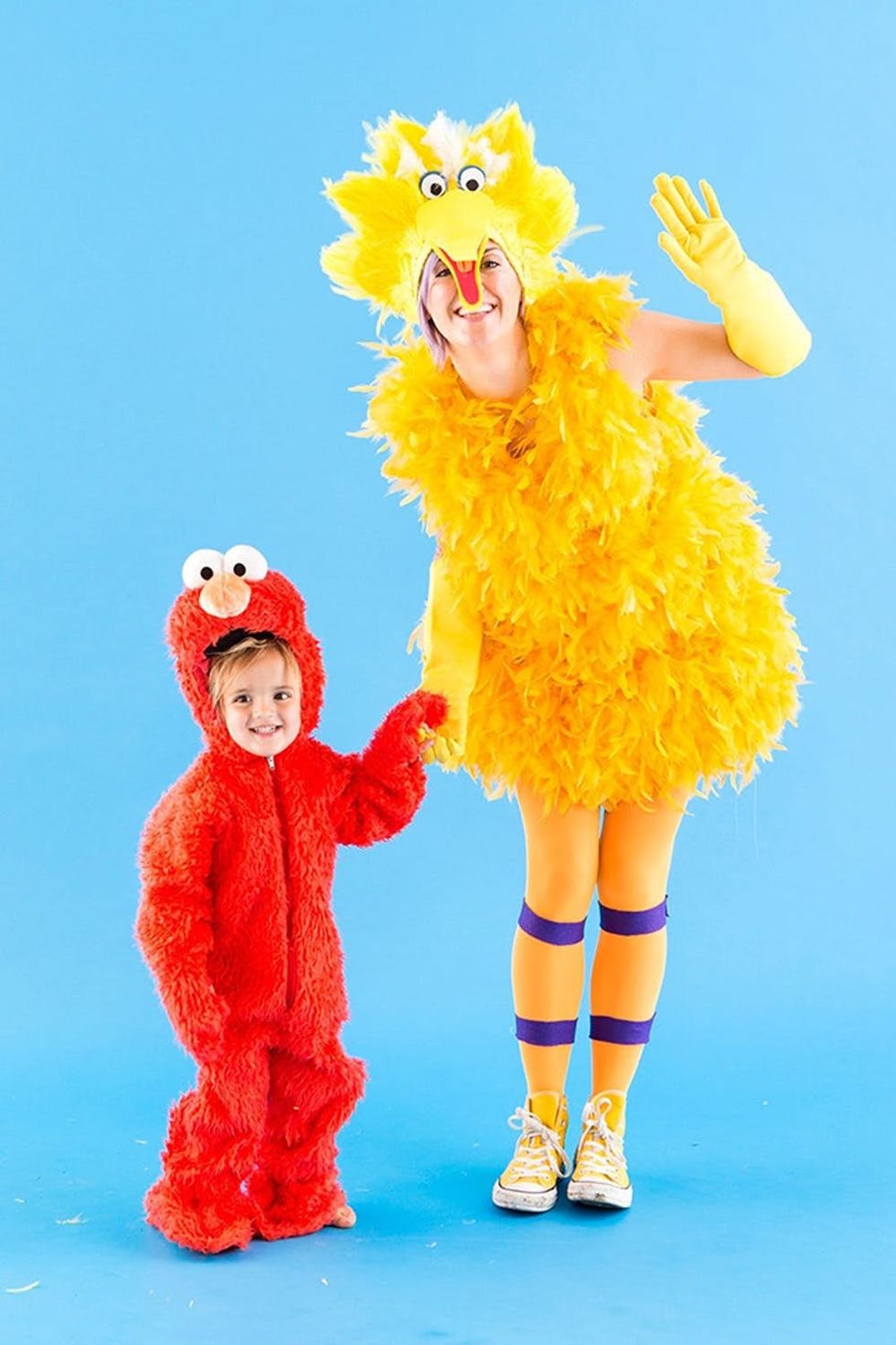 Big Bird and Elmo Costumes