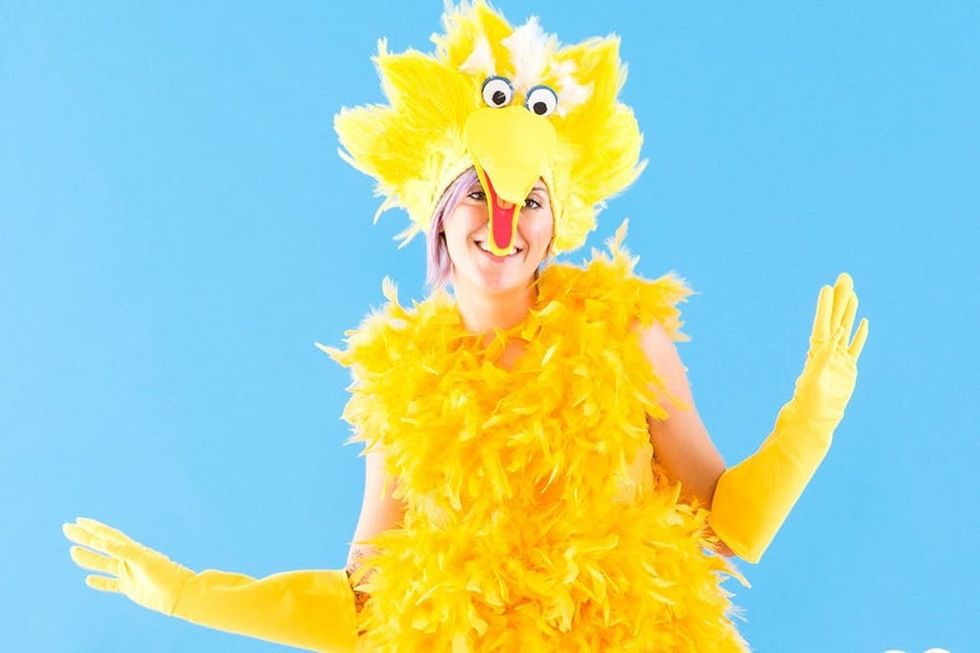 Big Bird Sesame Street Halloween Costume