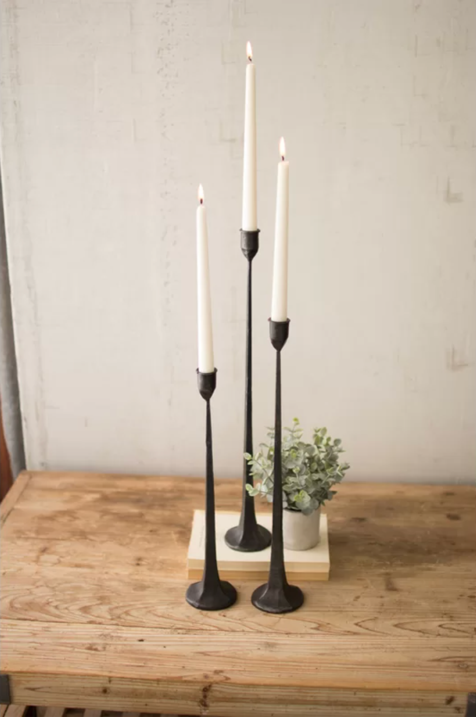 Birch Lane Iron Tabletop Candlestick