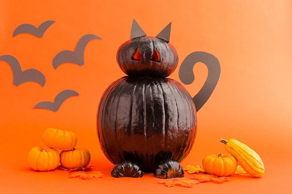 Black_Cat_Pumpkin_016