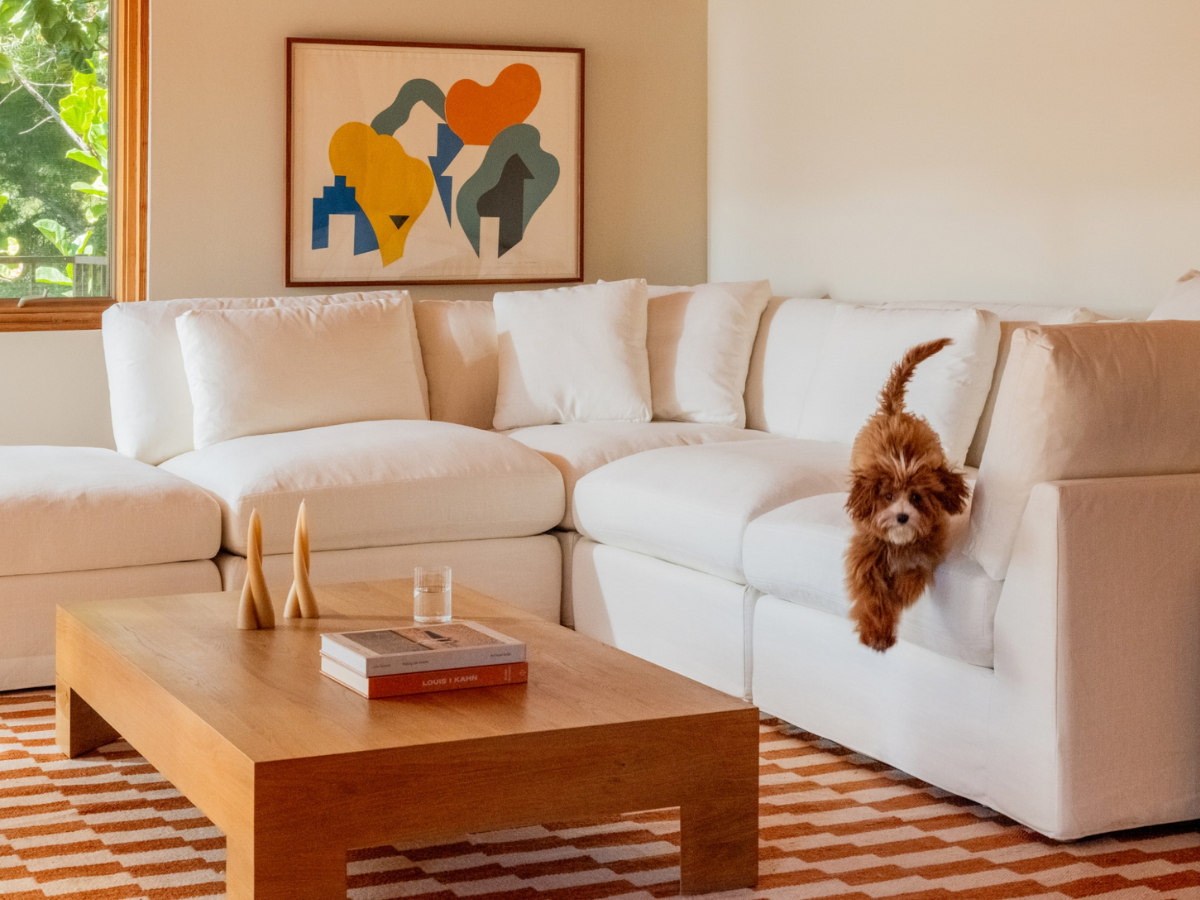 Black Friday Cyber Monday Deals 2025