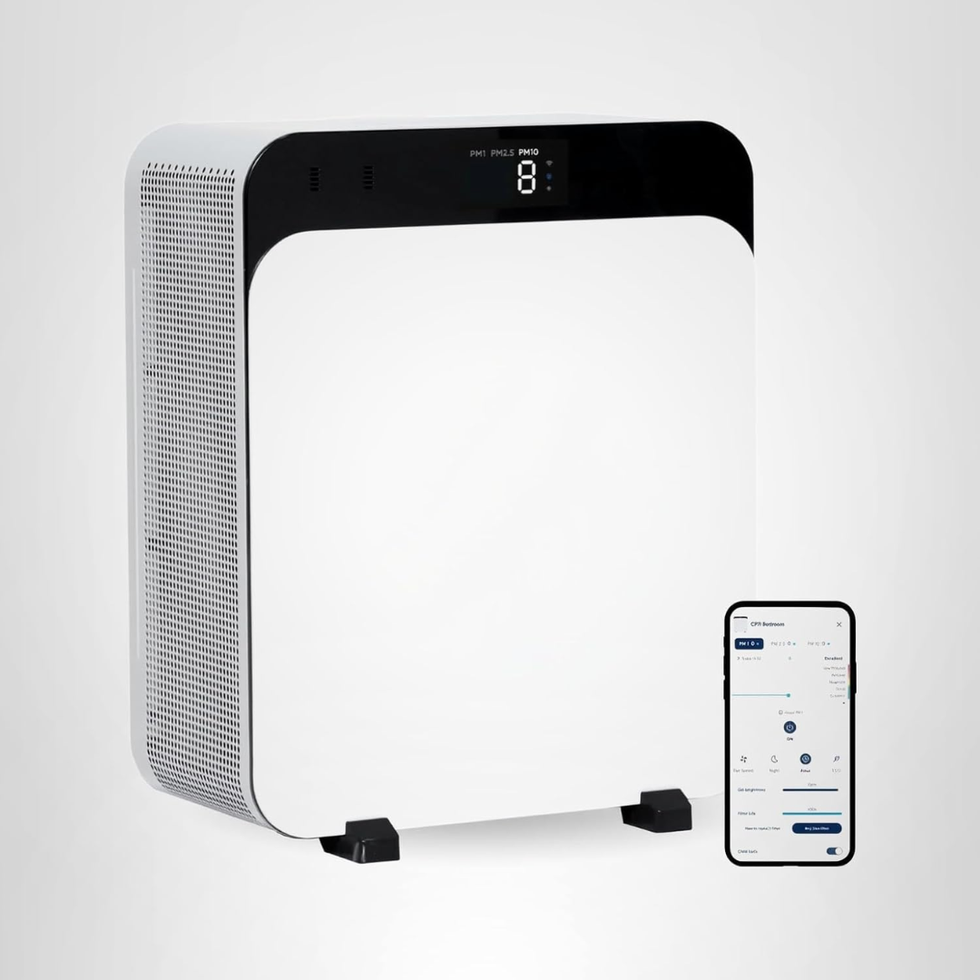 Blueair Air Purifier