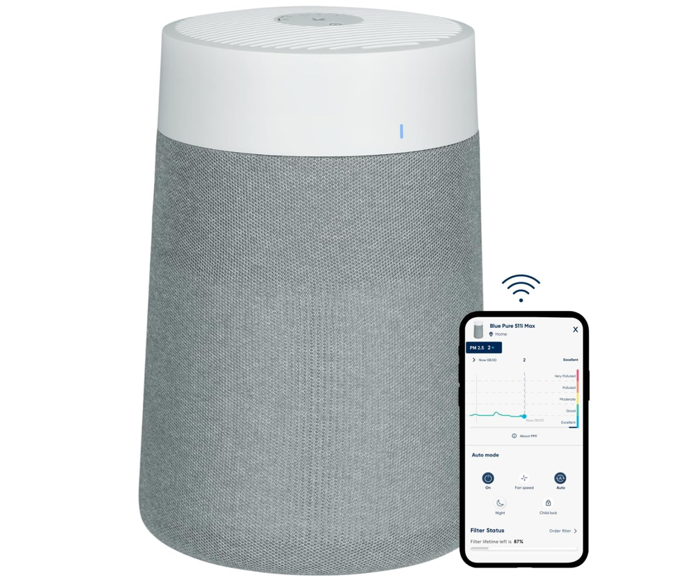 BLUEAIR Air Purifiers for Small Rooms