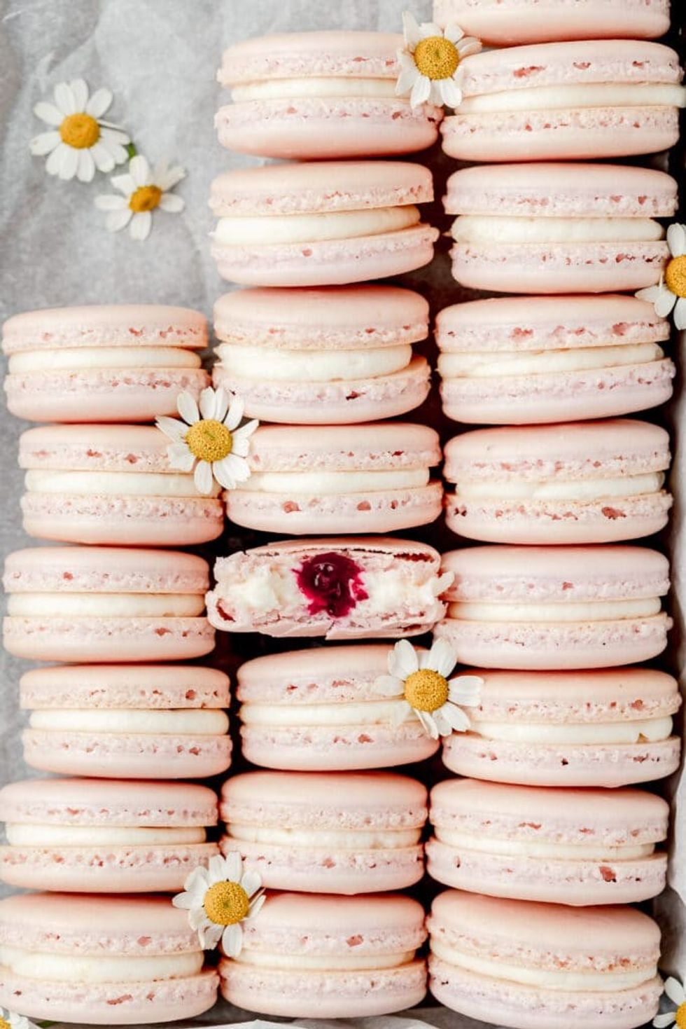 Blueberry Mascarpone Macarons