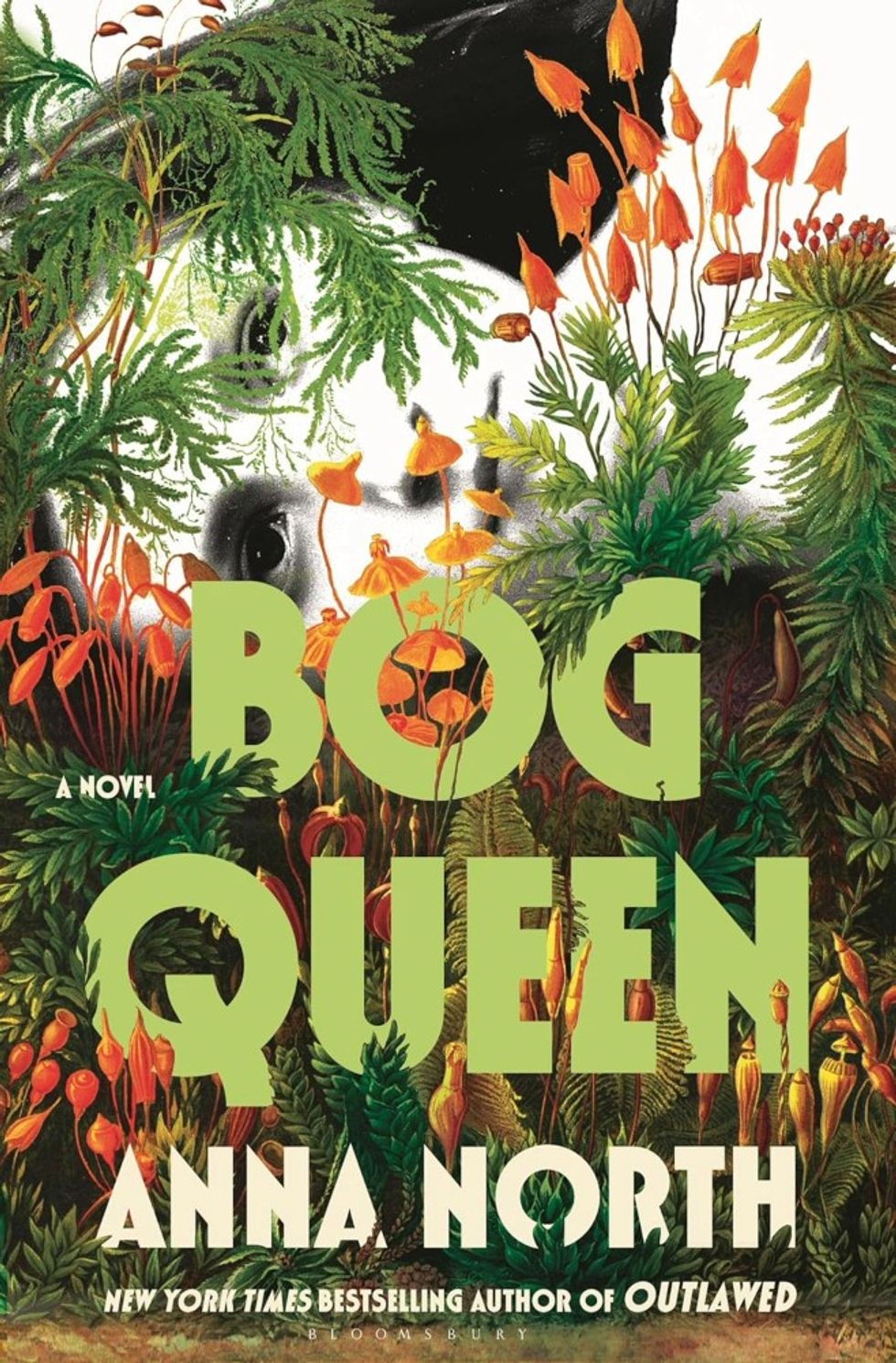 Bog Queen by Anna North