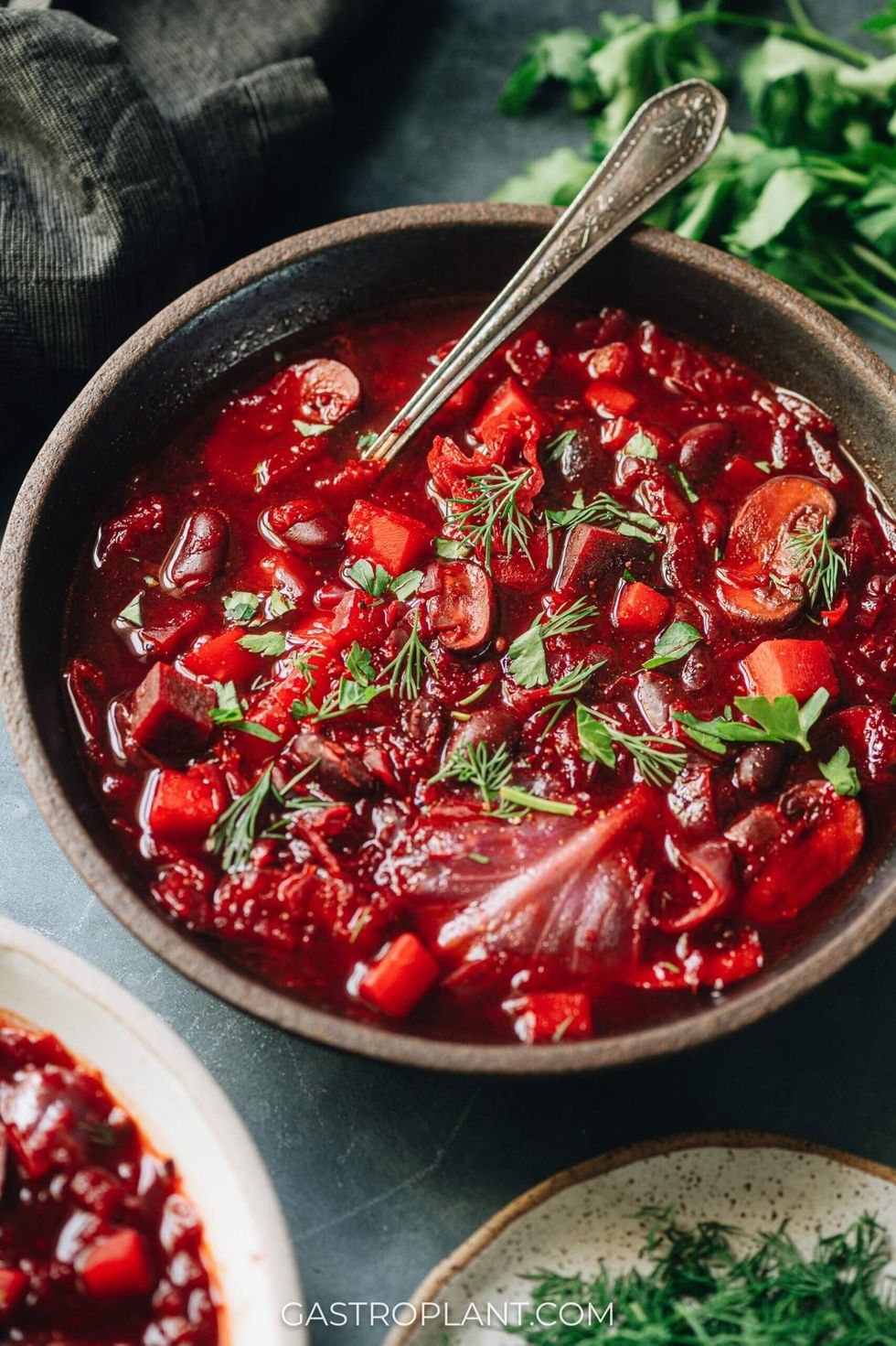 Bold Vegan Borscht recipe, how to use radishes in cooking