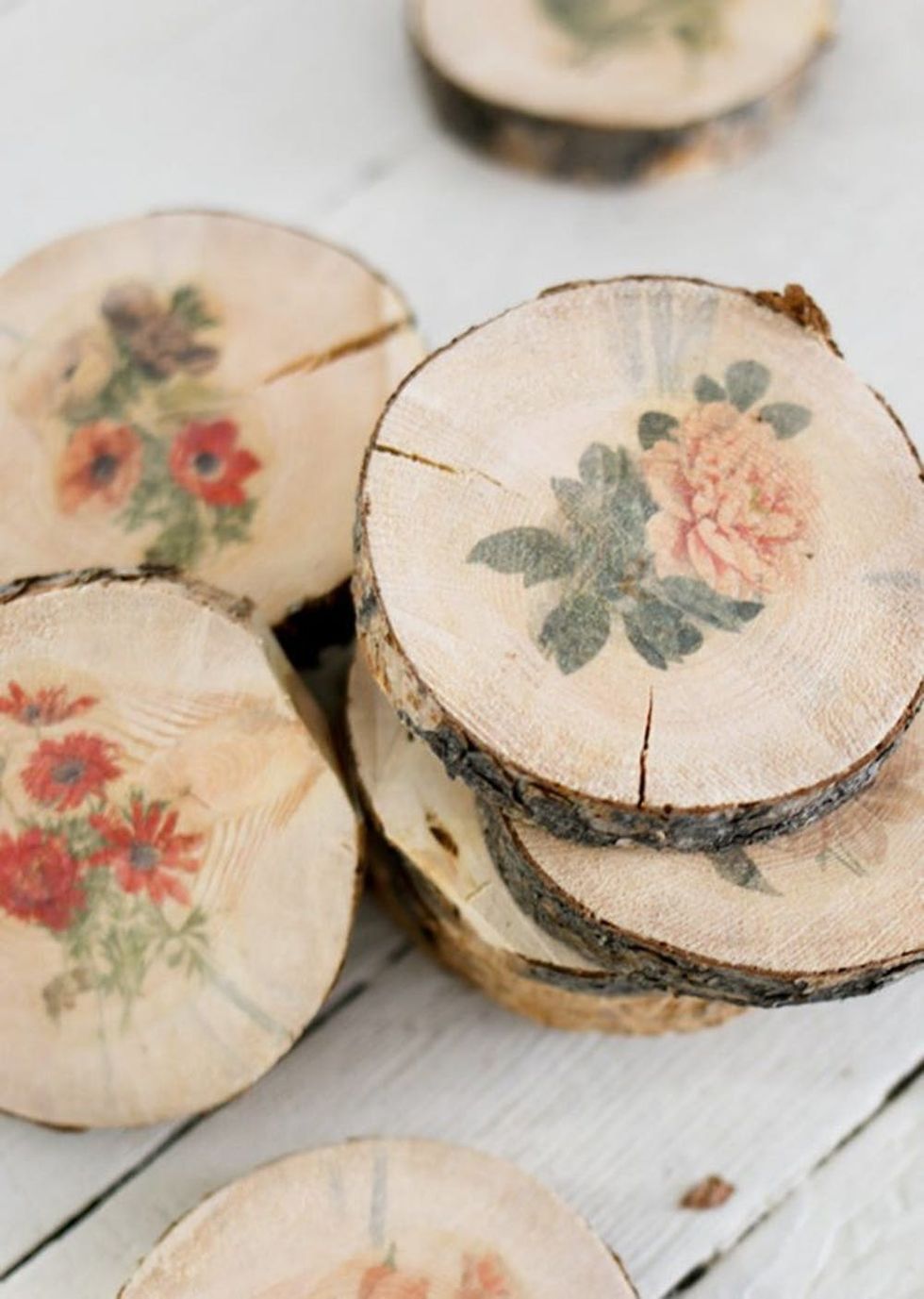 Botanical Wood Slices