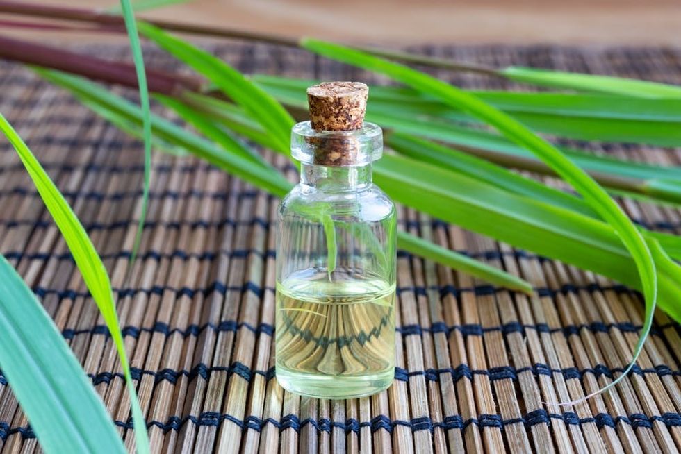 Bottle of essential oil surrounded by lemongrass.