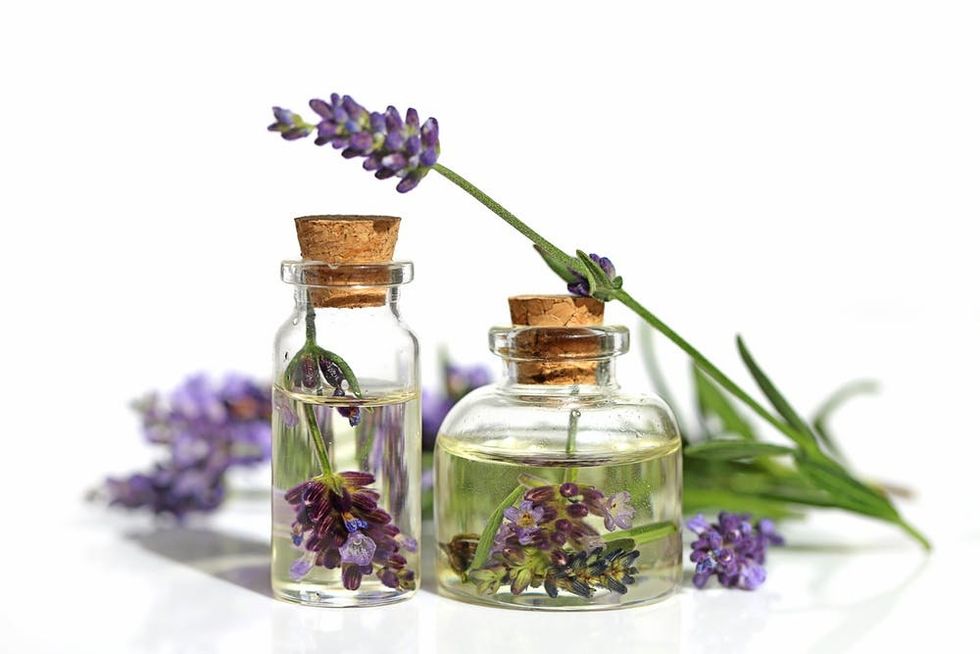 Bottles of lavender oil surrounded by lavender sprigs. 