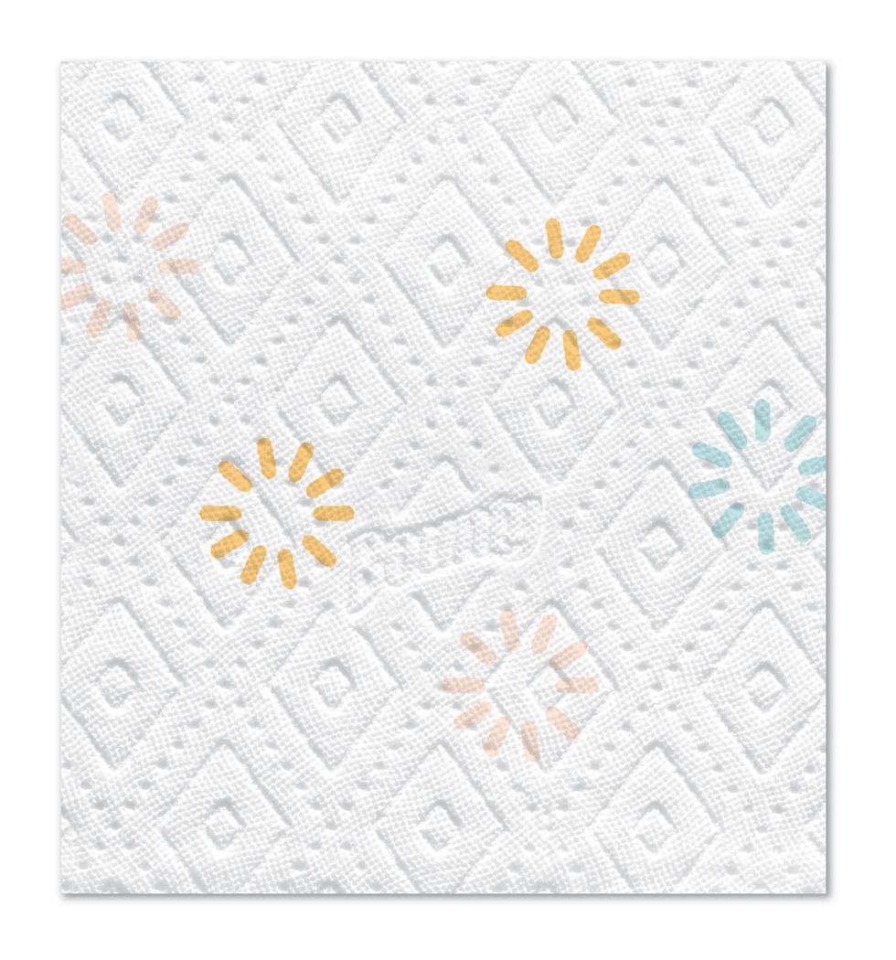 bounty paper towel design Clara Sasiene