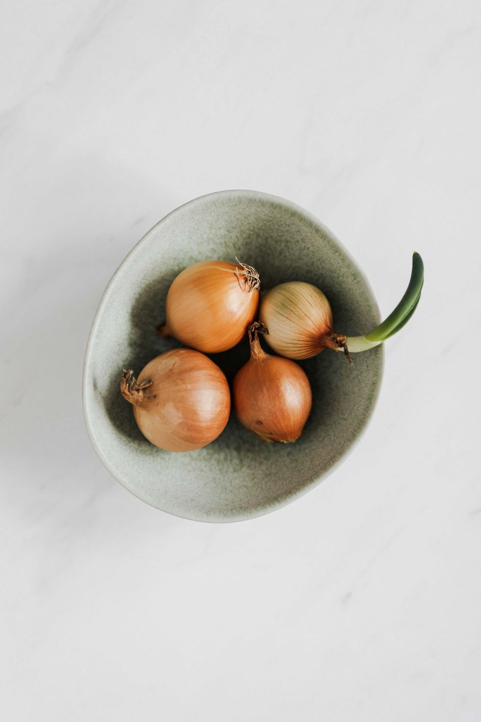 Bowl with four onions, one sprouting green, on a light marble surface.