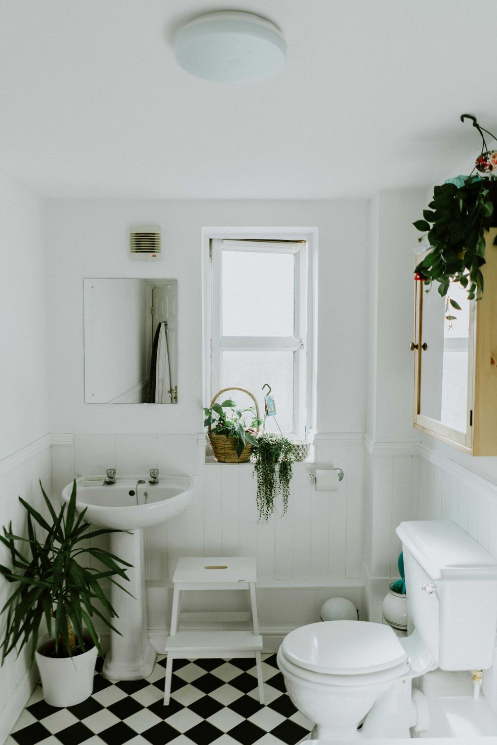 Bright bathroom with plants, black-and-white floor, sink, toilet, and window.