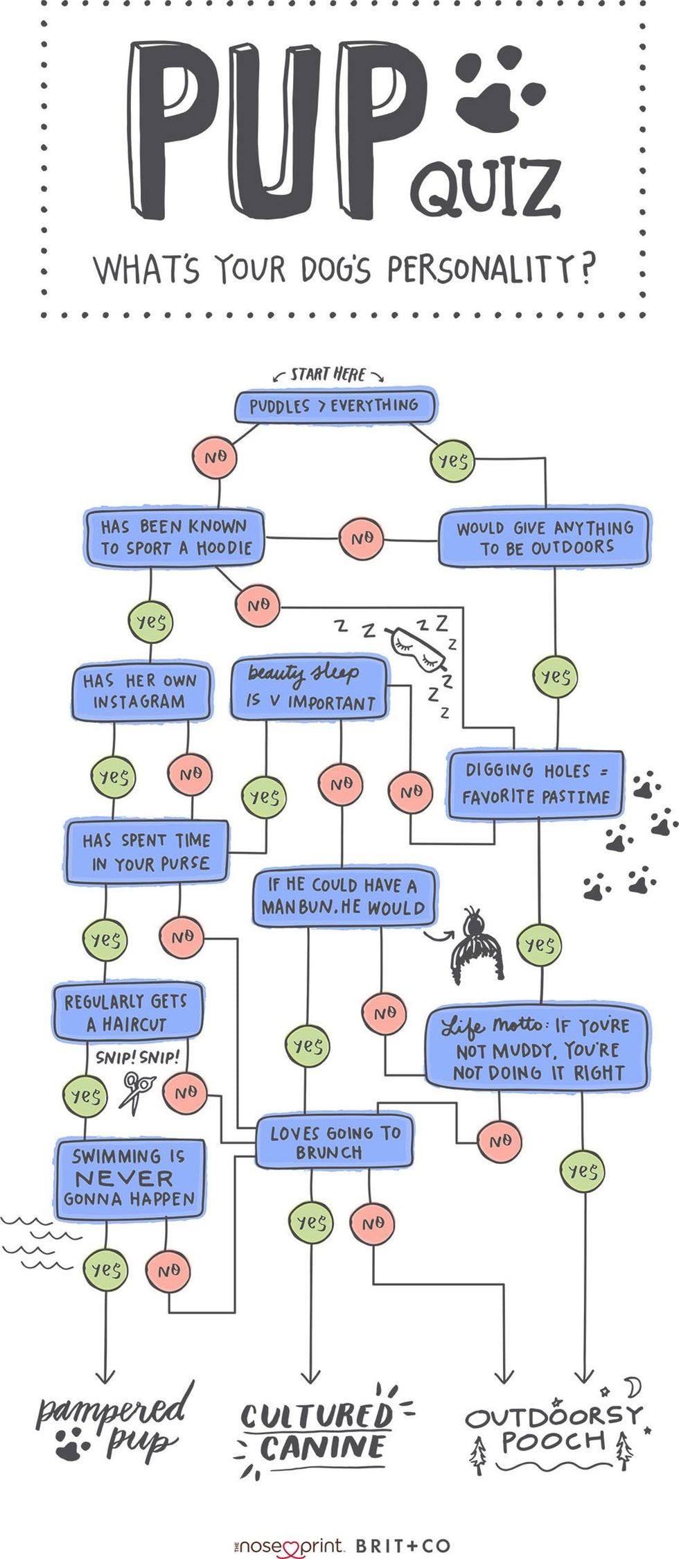 Brit+Co-Milkbone-Pup-Quiz-Flowchart