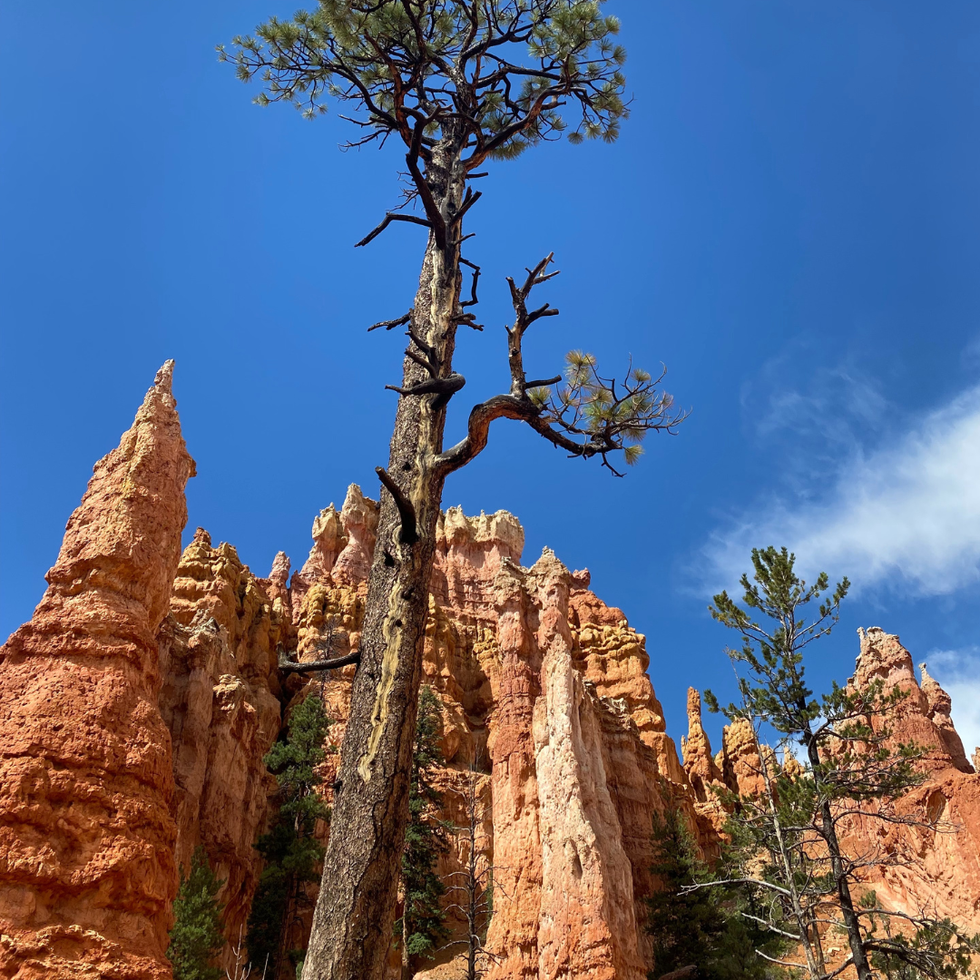 bryce canyon national park