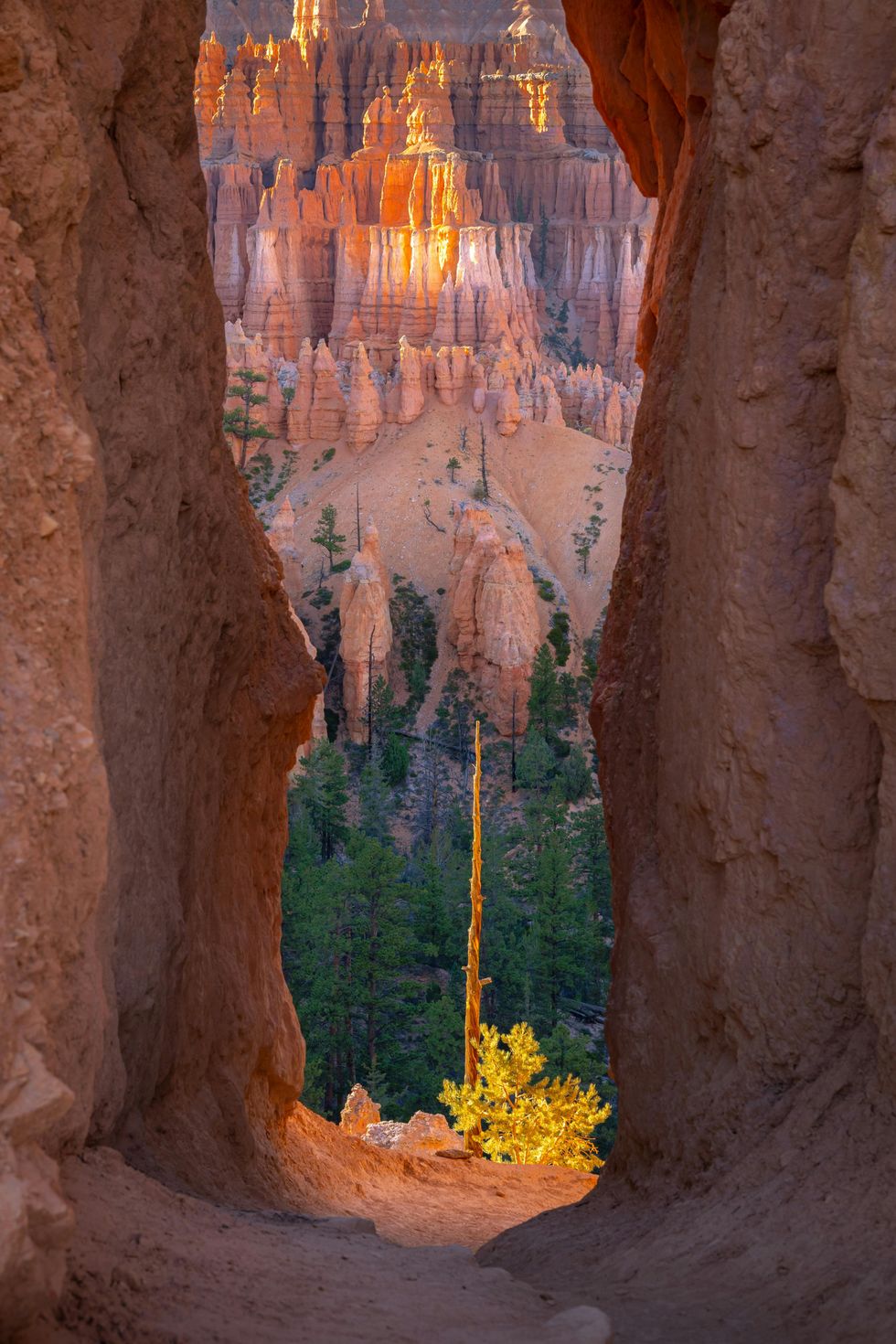 bryce canyon