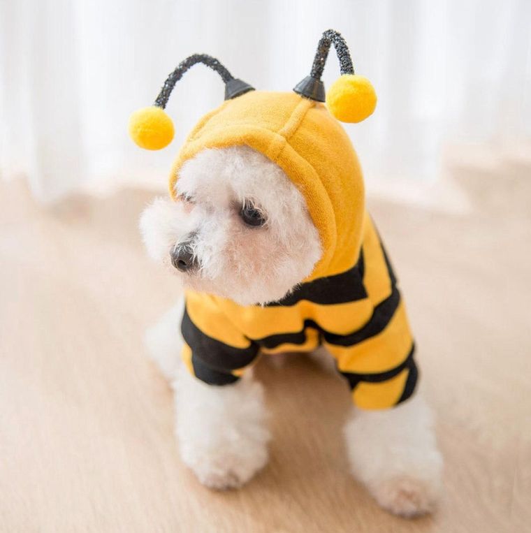 DIY Dog Costumes  Ideas For Homemade Halloween Dog Costumes
