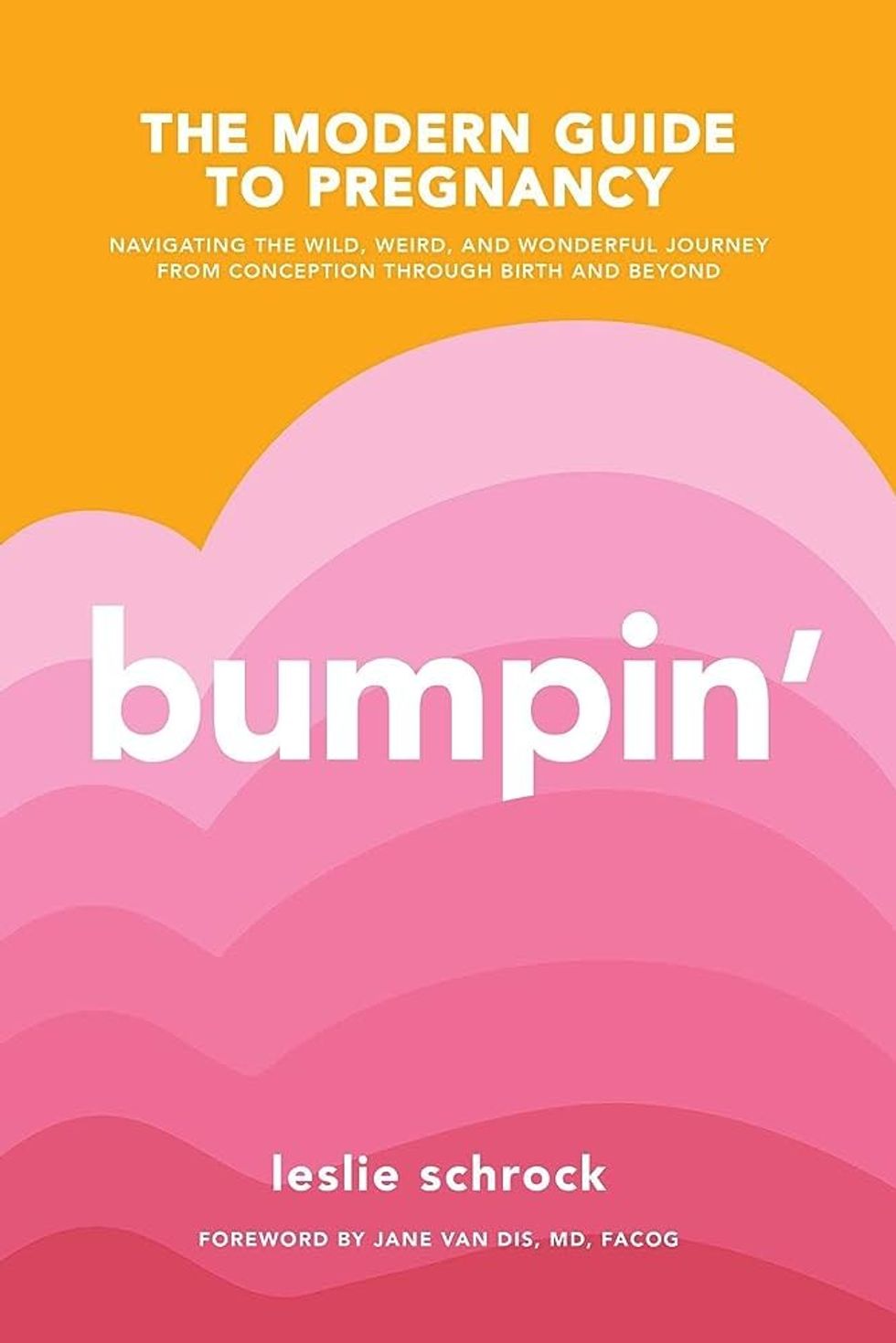 Bumpin': The Modern Guide to Pregnancy ($11)