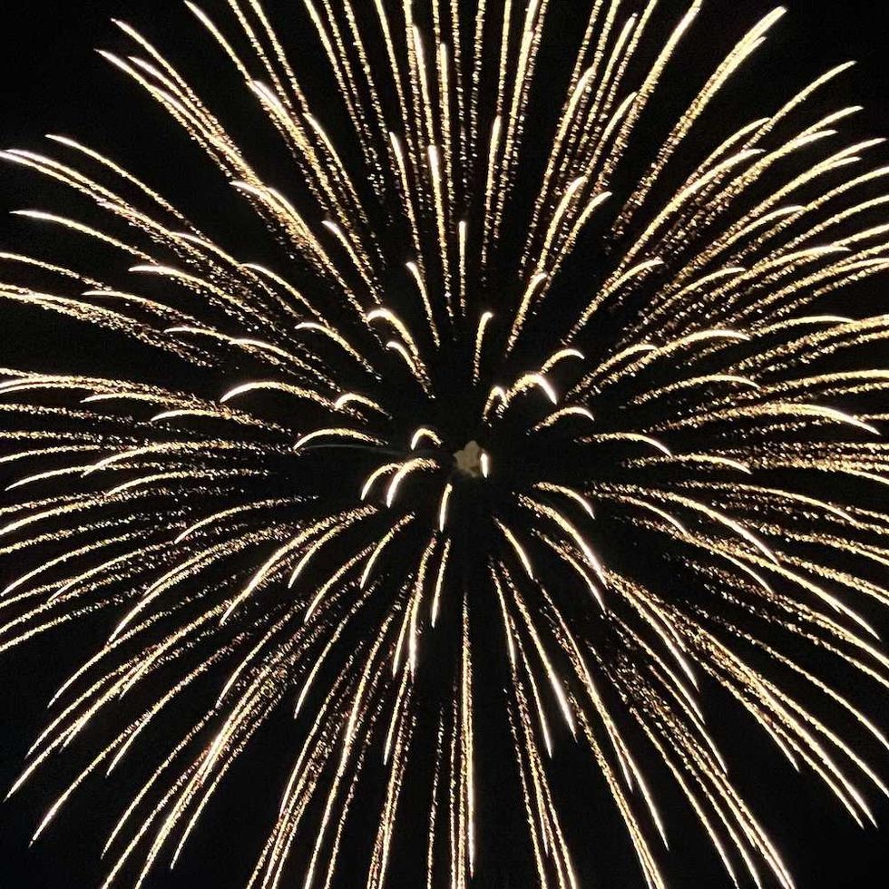 Bursts of golden fireworks against a dark night sky.