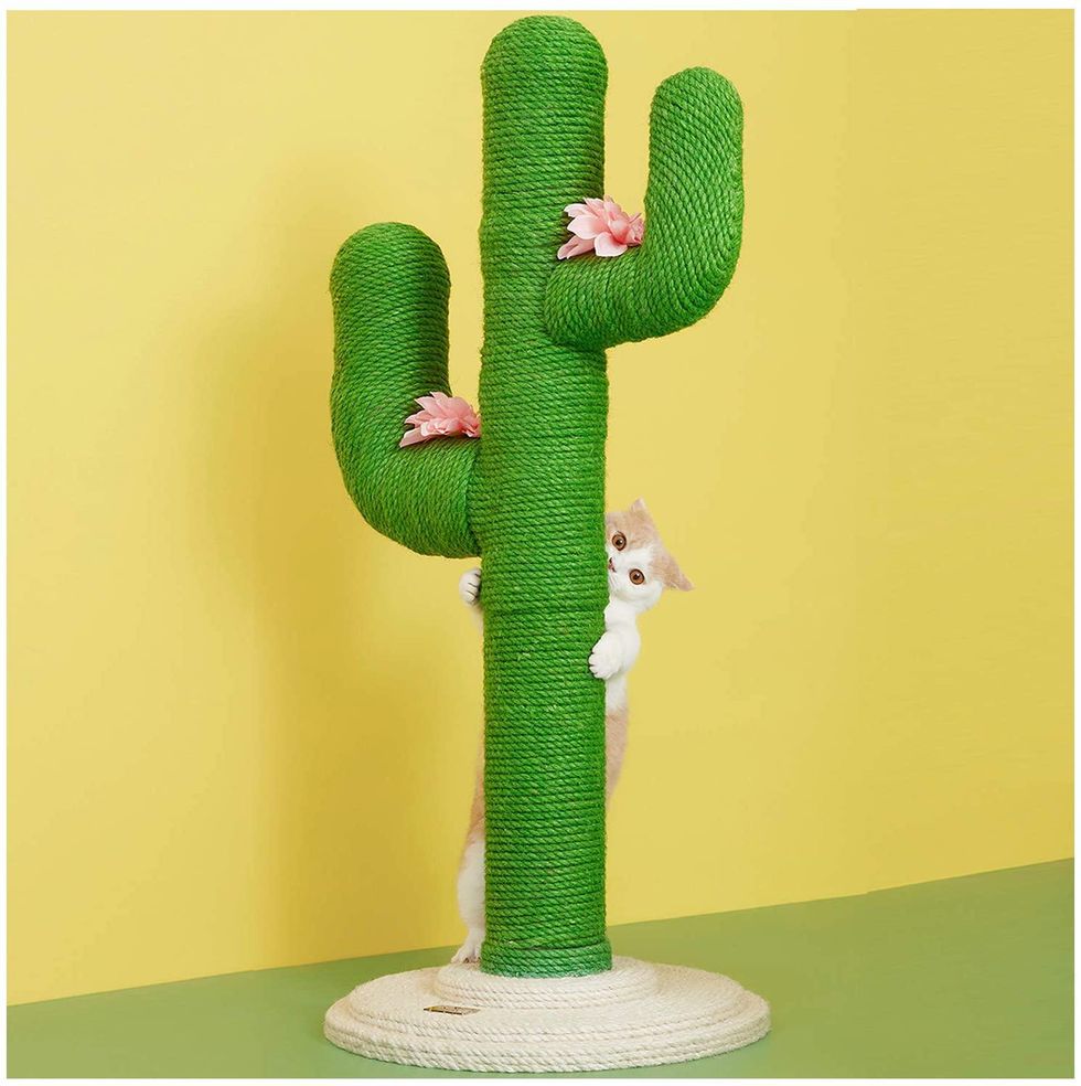 Cactus Cat Scratching Post