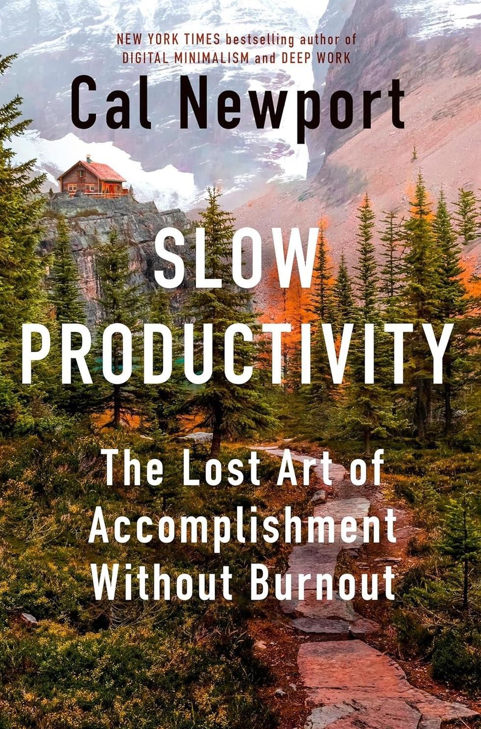 cal newport slow productivity