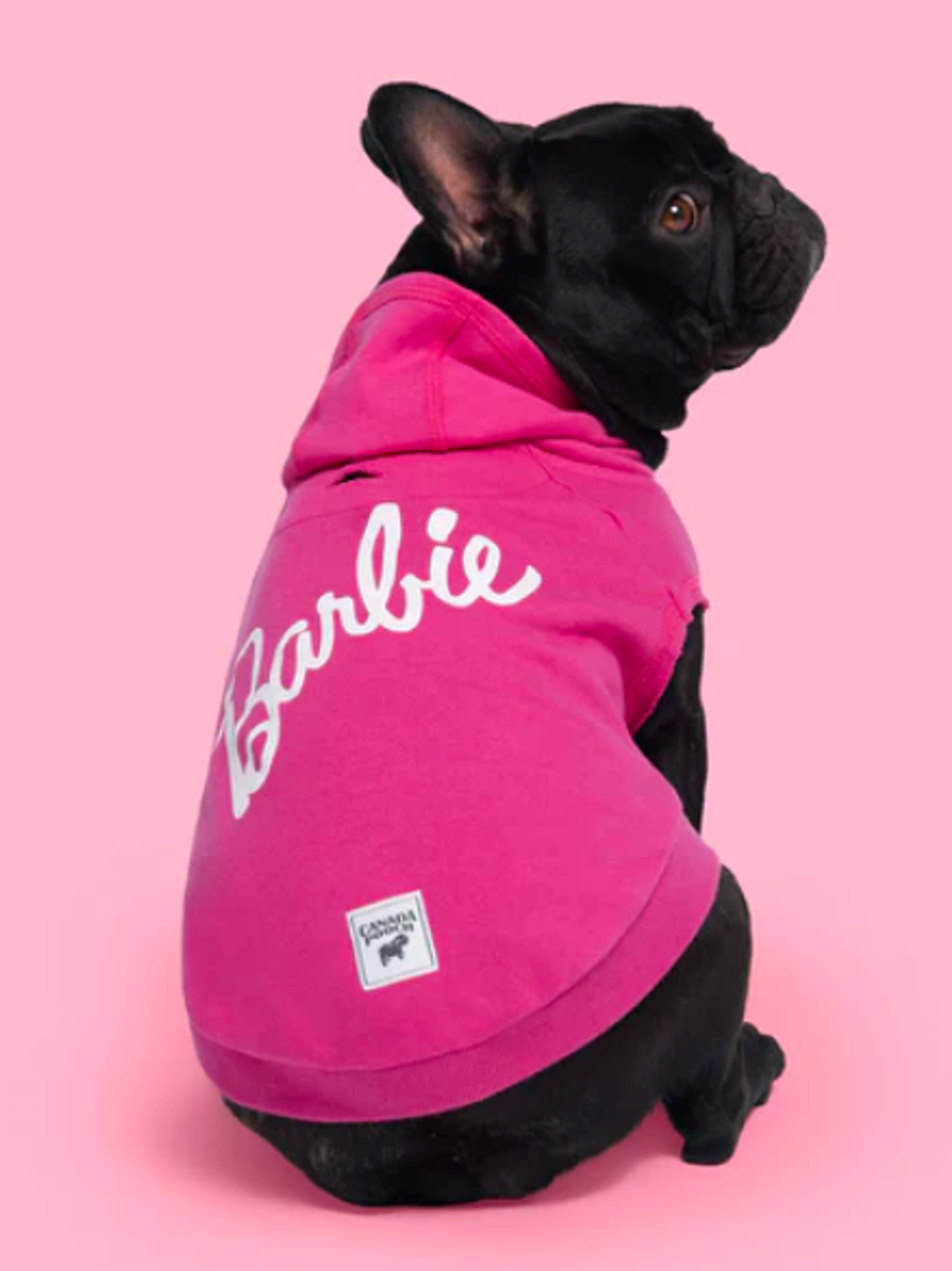 Canada Pooch x Barbie