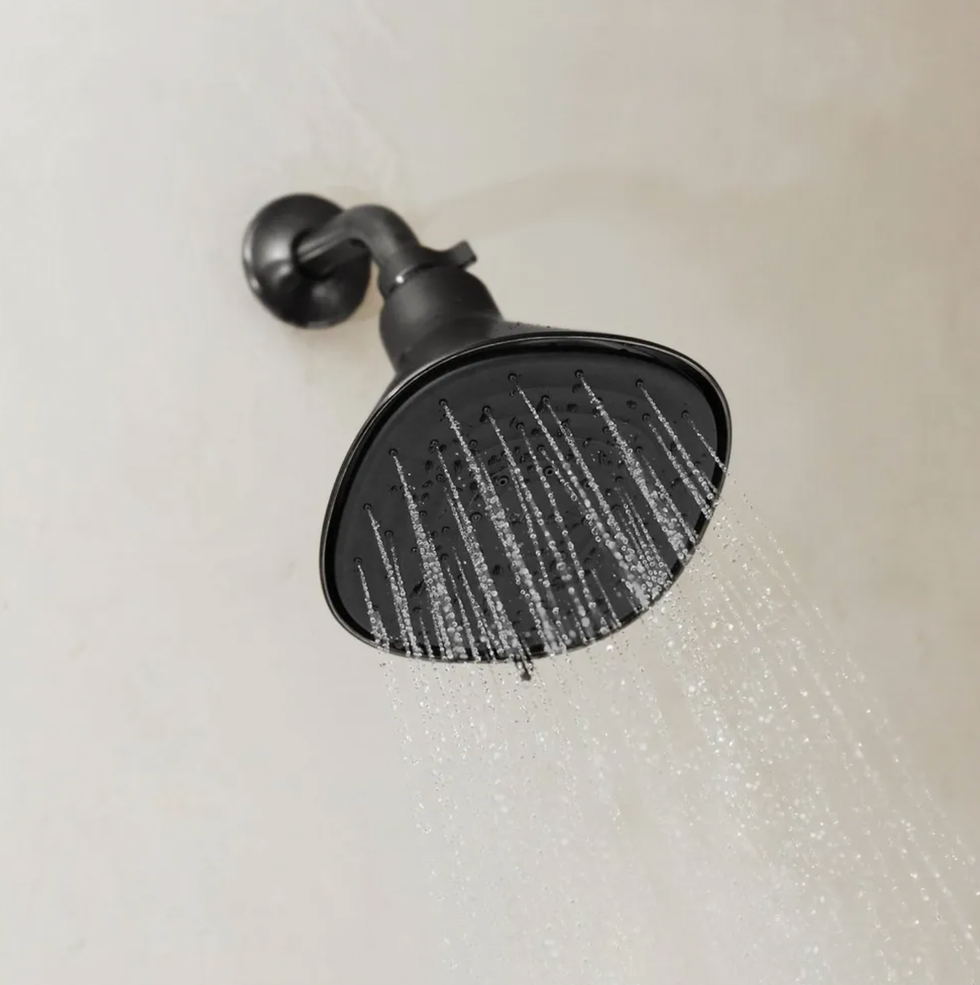 Canopy Filtered Showerhead ($125)