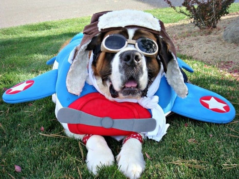 captain america costume