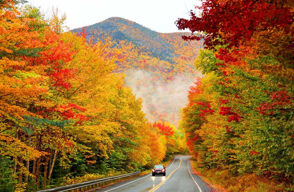 Car drives through vibrant autumn scenery with colorful trees and mountains.