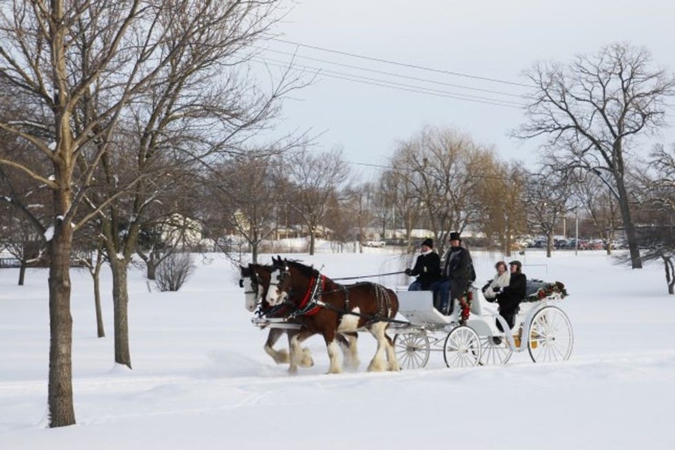 Carriage ride