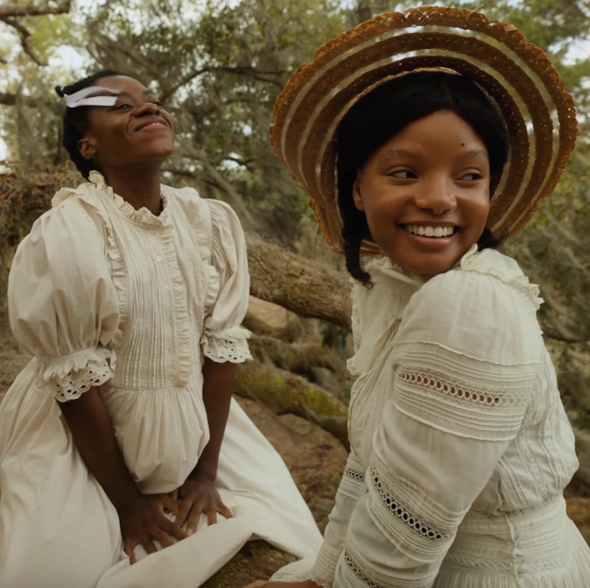 celie and nettie in the color purple