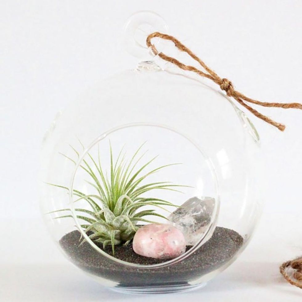 Charcoal-Rhodonite-and-Quartz-Air-Plant-Terrarium-Kit-Bird-and-Feather_grande