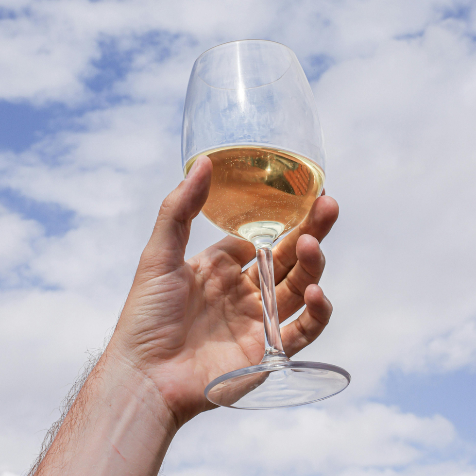 Chenin Blanc White Wine For The Holidays