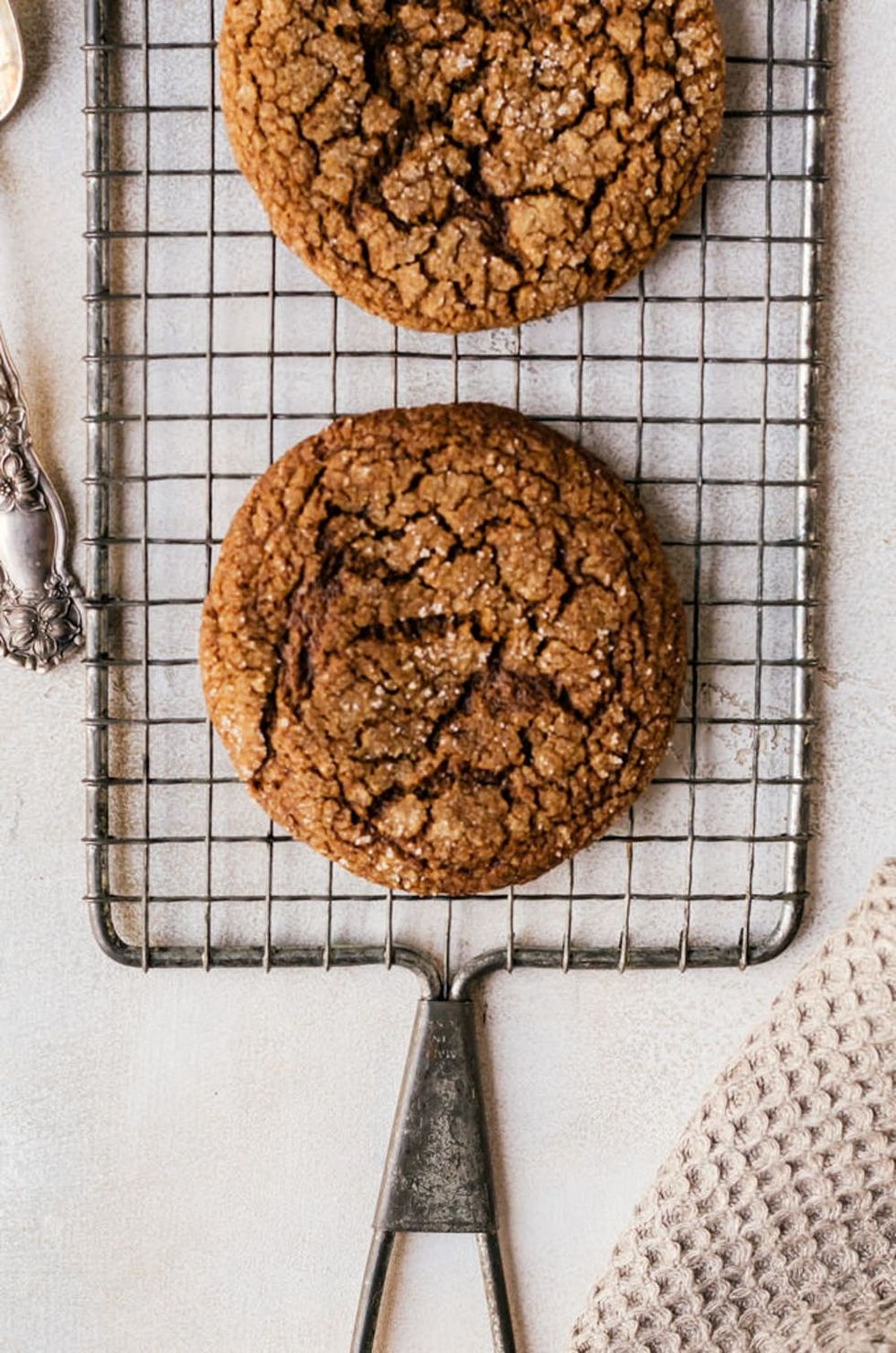 Chewy Molasses Cookies