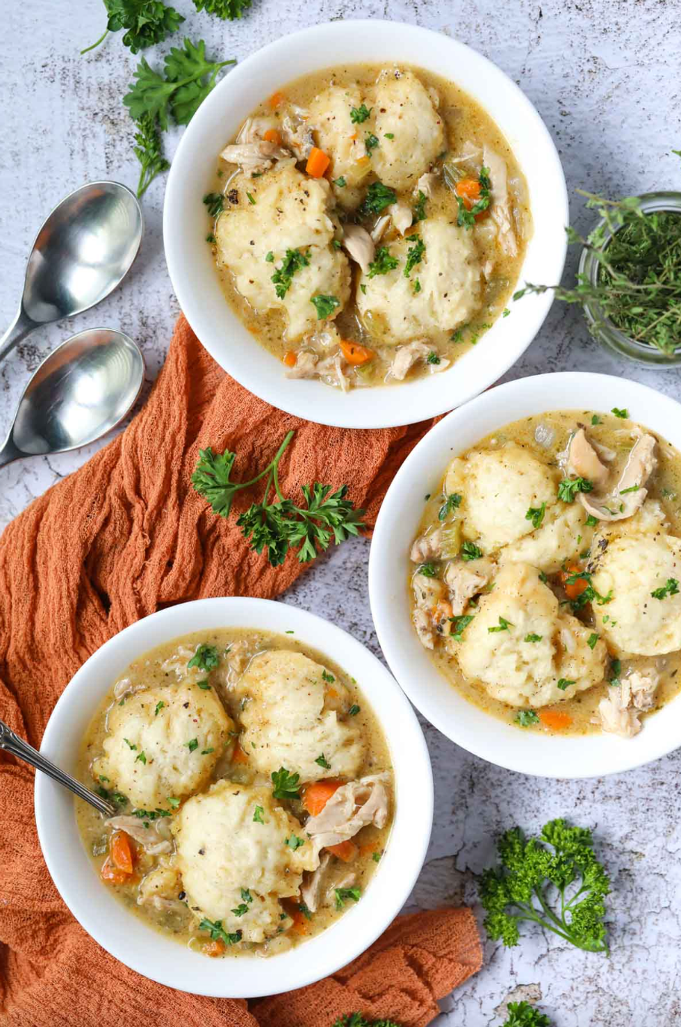 Chicken and Dumpling Soup