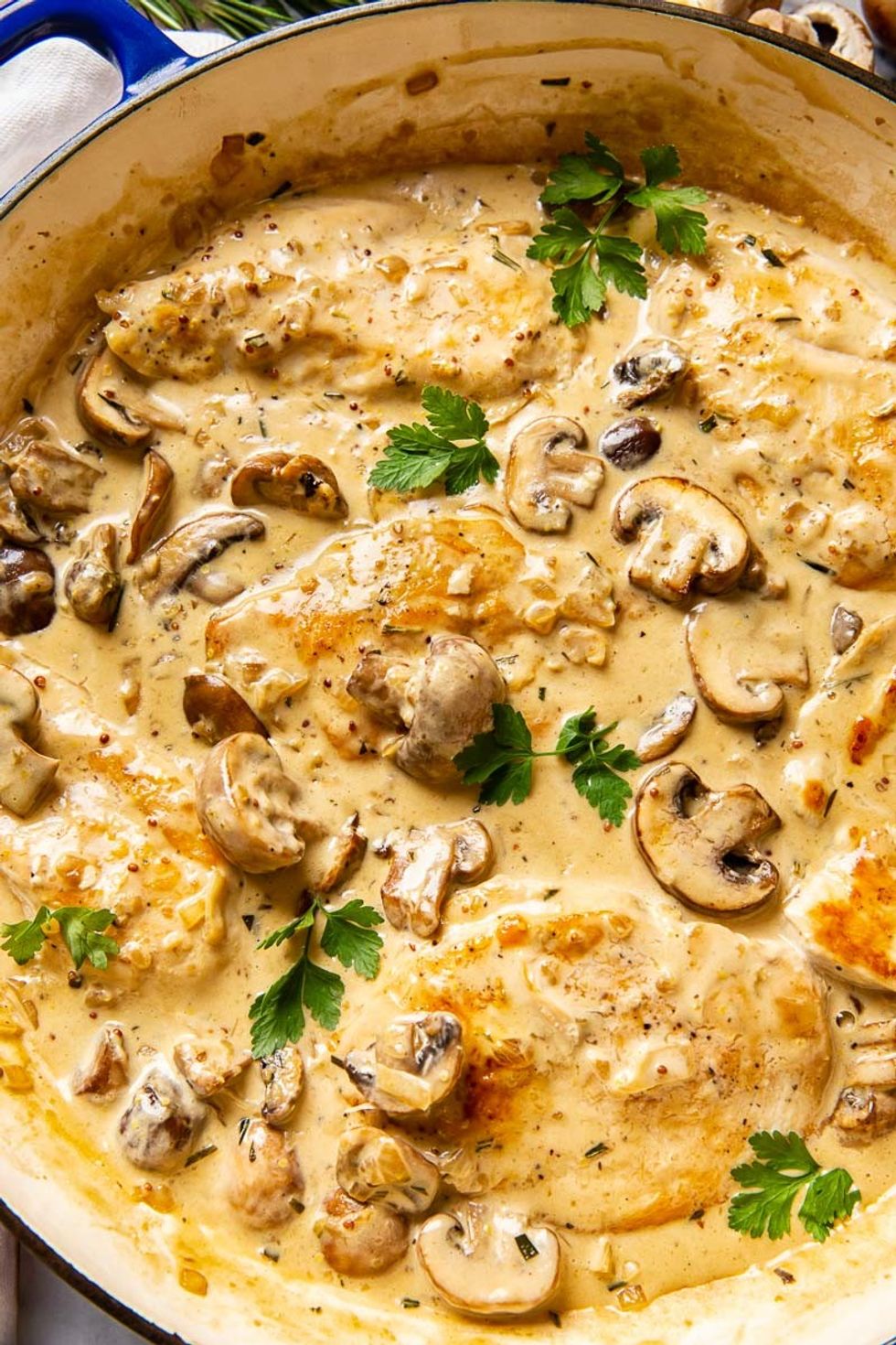 Chicken with Garlic Mushroom Sauce