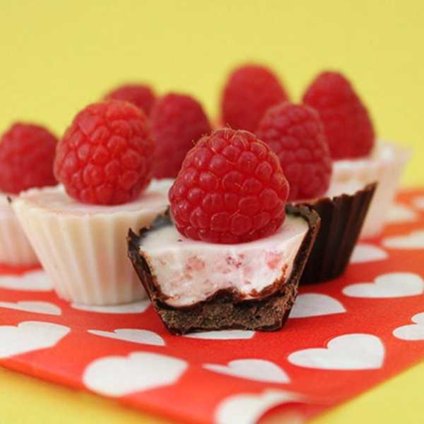 Chocolate Raspberry Panna Cotta Cups Chocolate Recipes