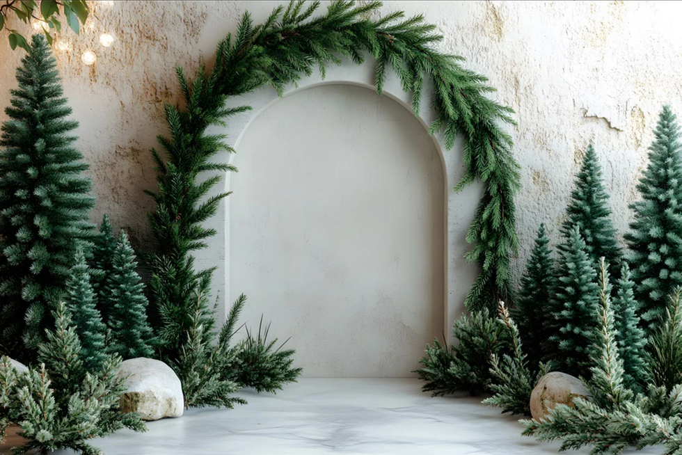 Christmas Tree Arch