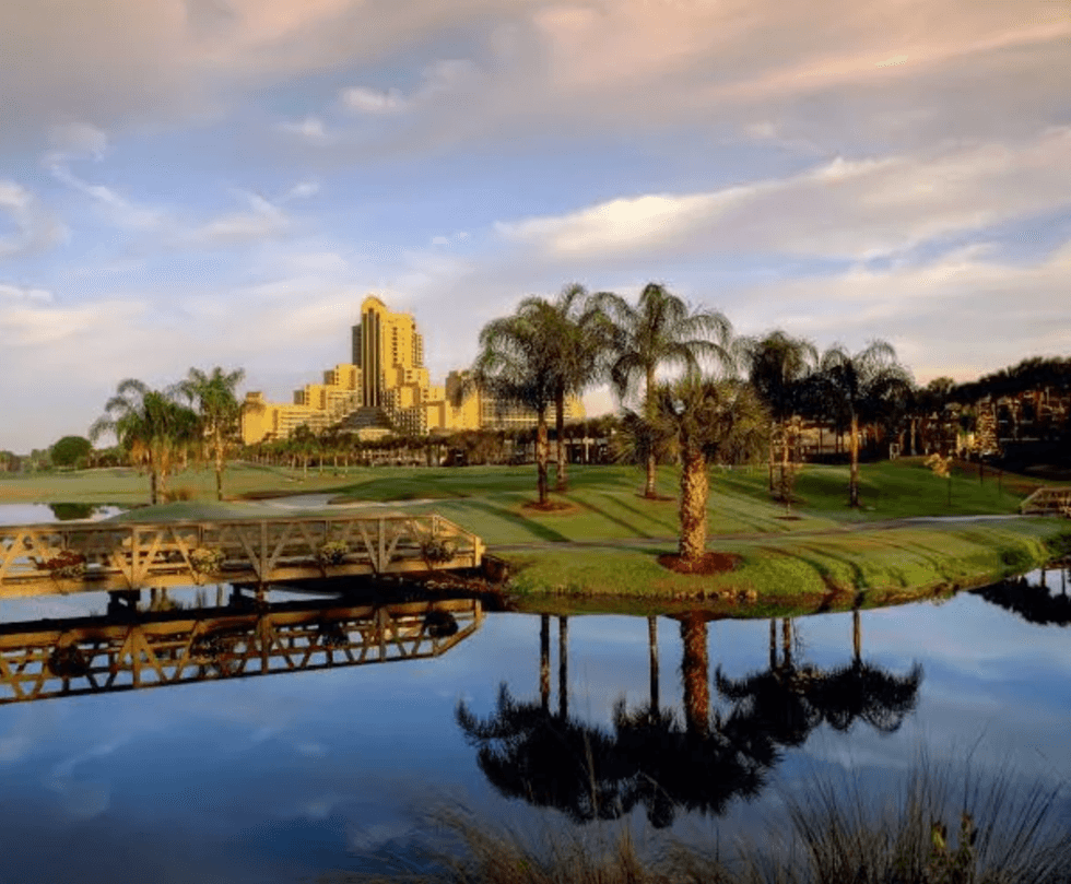 City skyline with palm trees reflected in a tranquil pond at sunset.