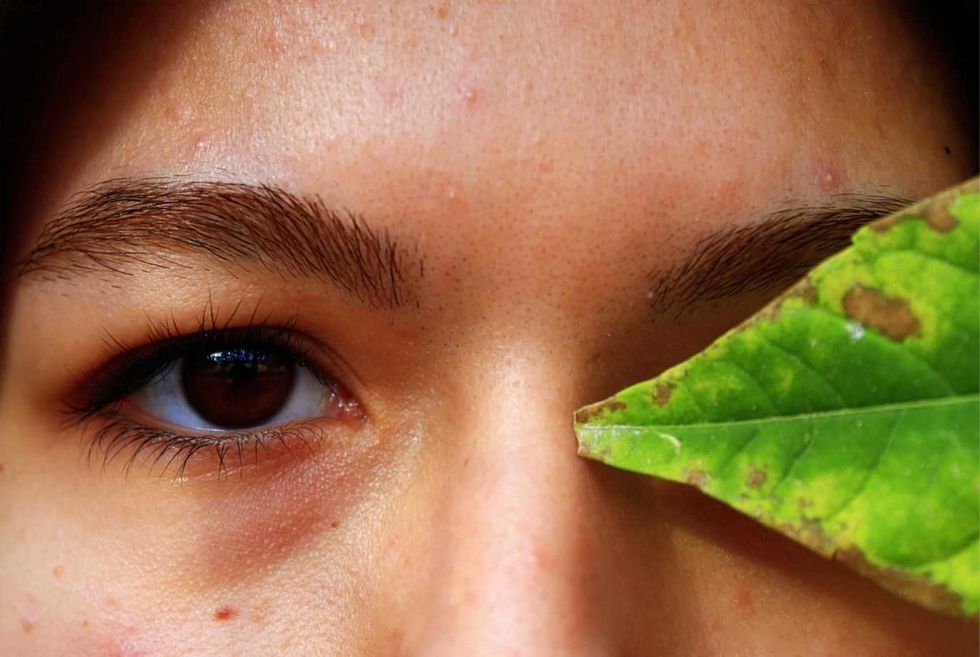 Close-up of a person's eye with a leaf partially covering their face.