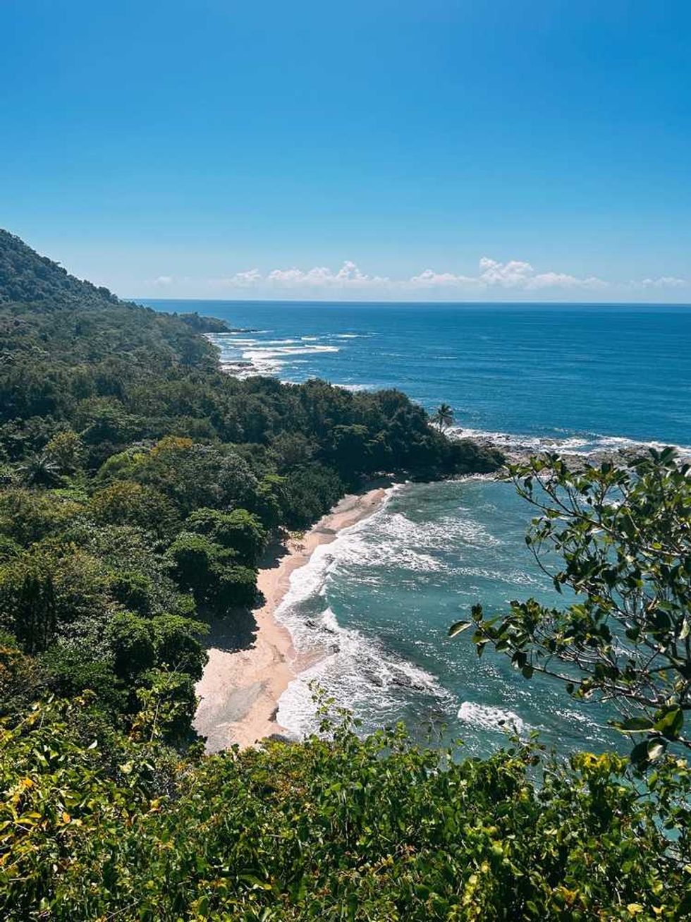 Coastal view with lush greenery, sandy beach, and blue ocean under a clear sky.
