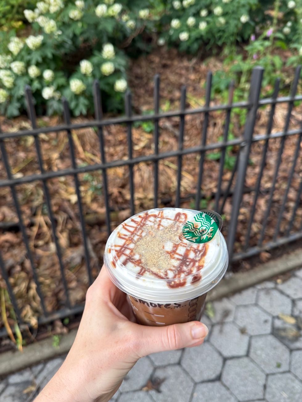 cold brew starbucks