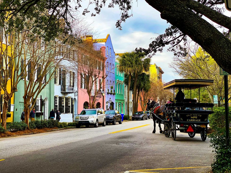 Colorful row of houses with a horse-drawn carriage on a street lined with trees.