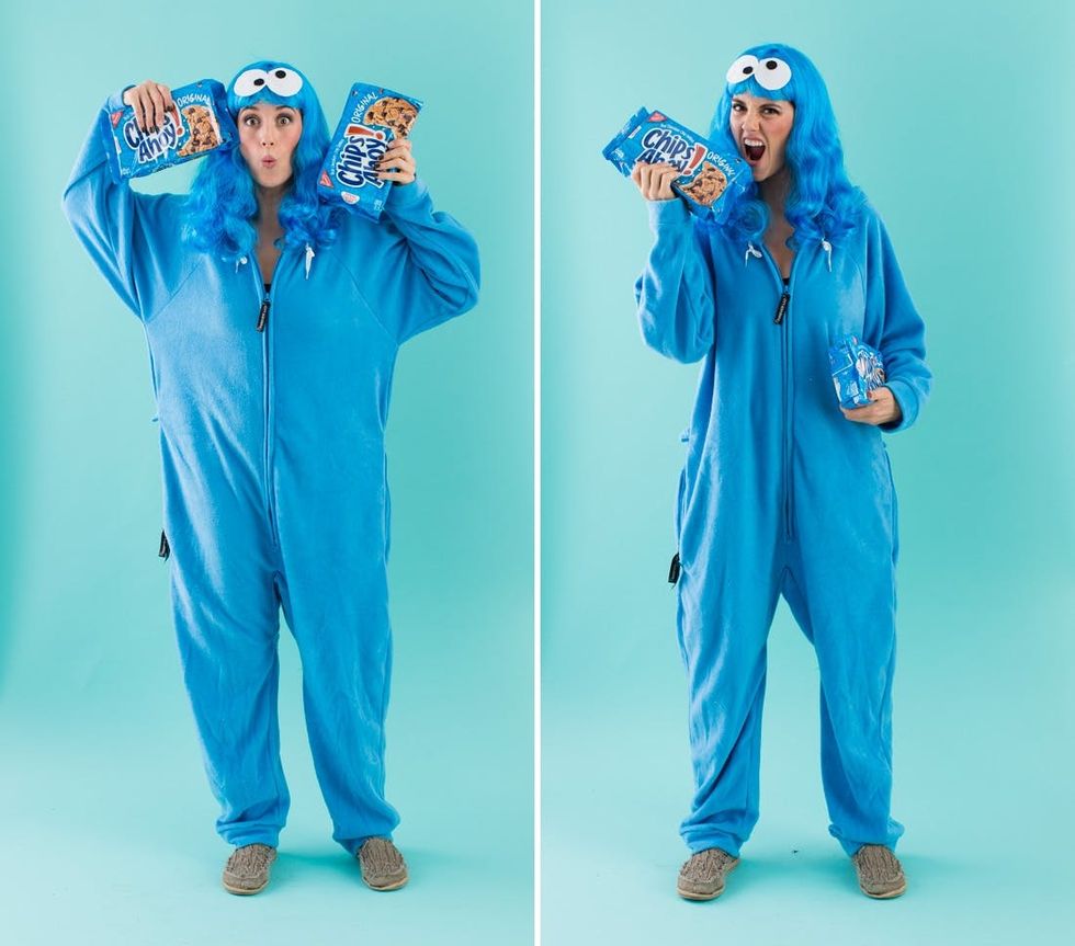 cookie monster costume