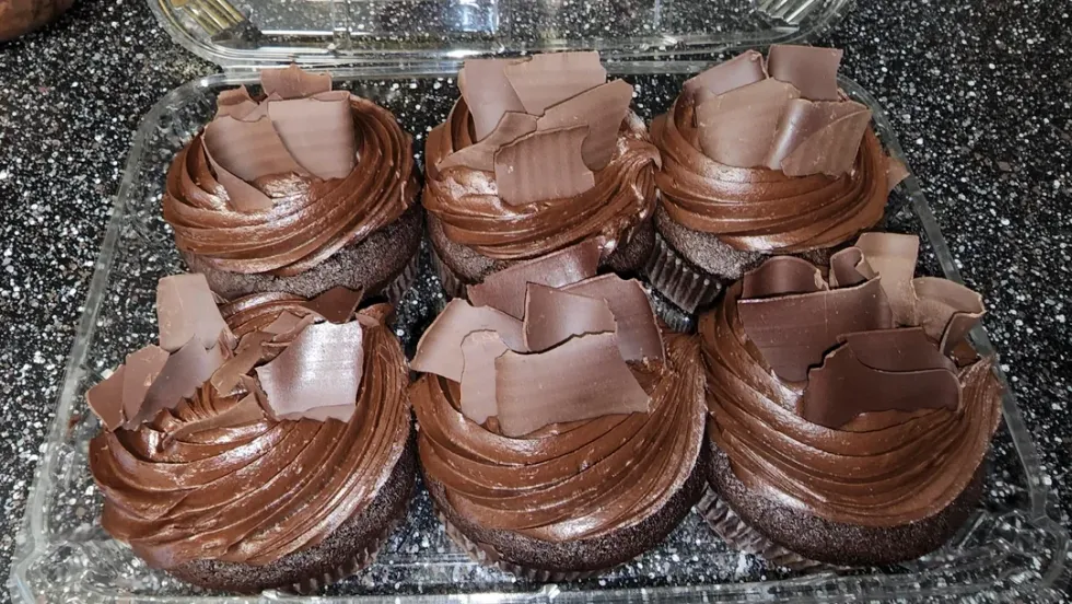 costco All American Chocolate Cupcakes