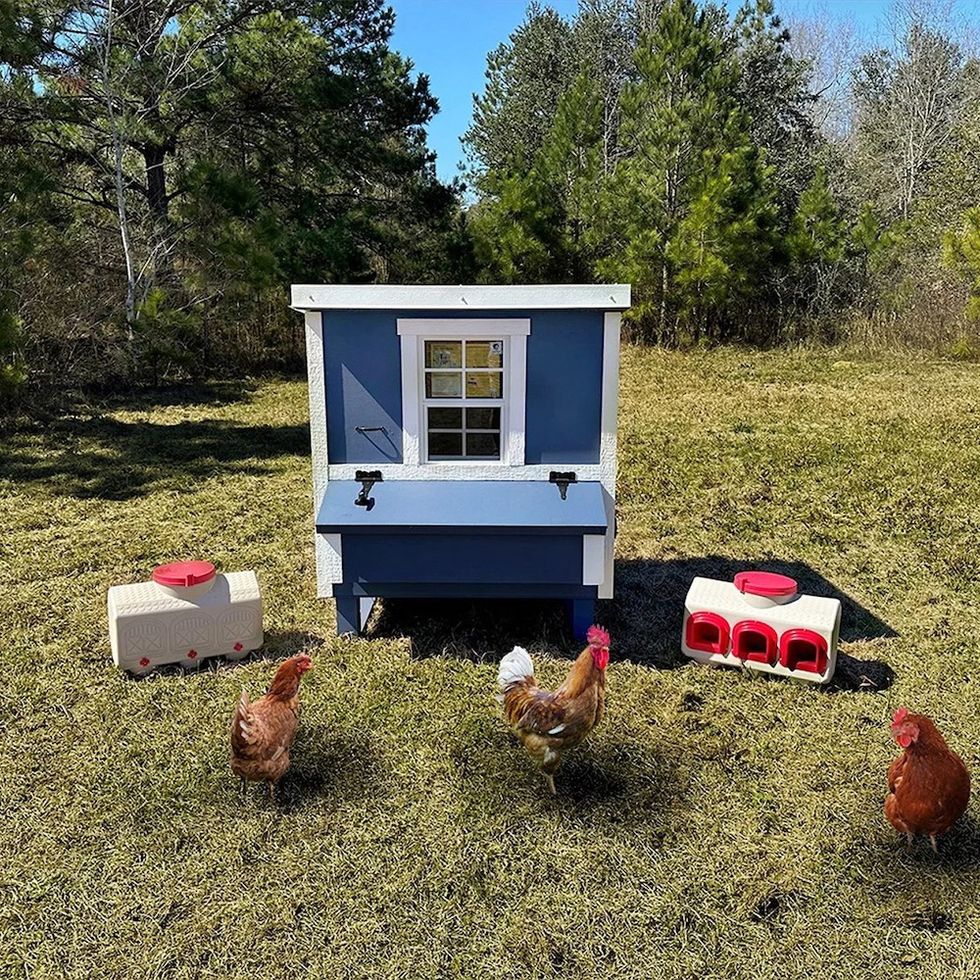Costco OverEZ Medium Chicken Coop with Feeder and Waterer