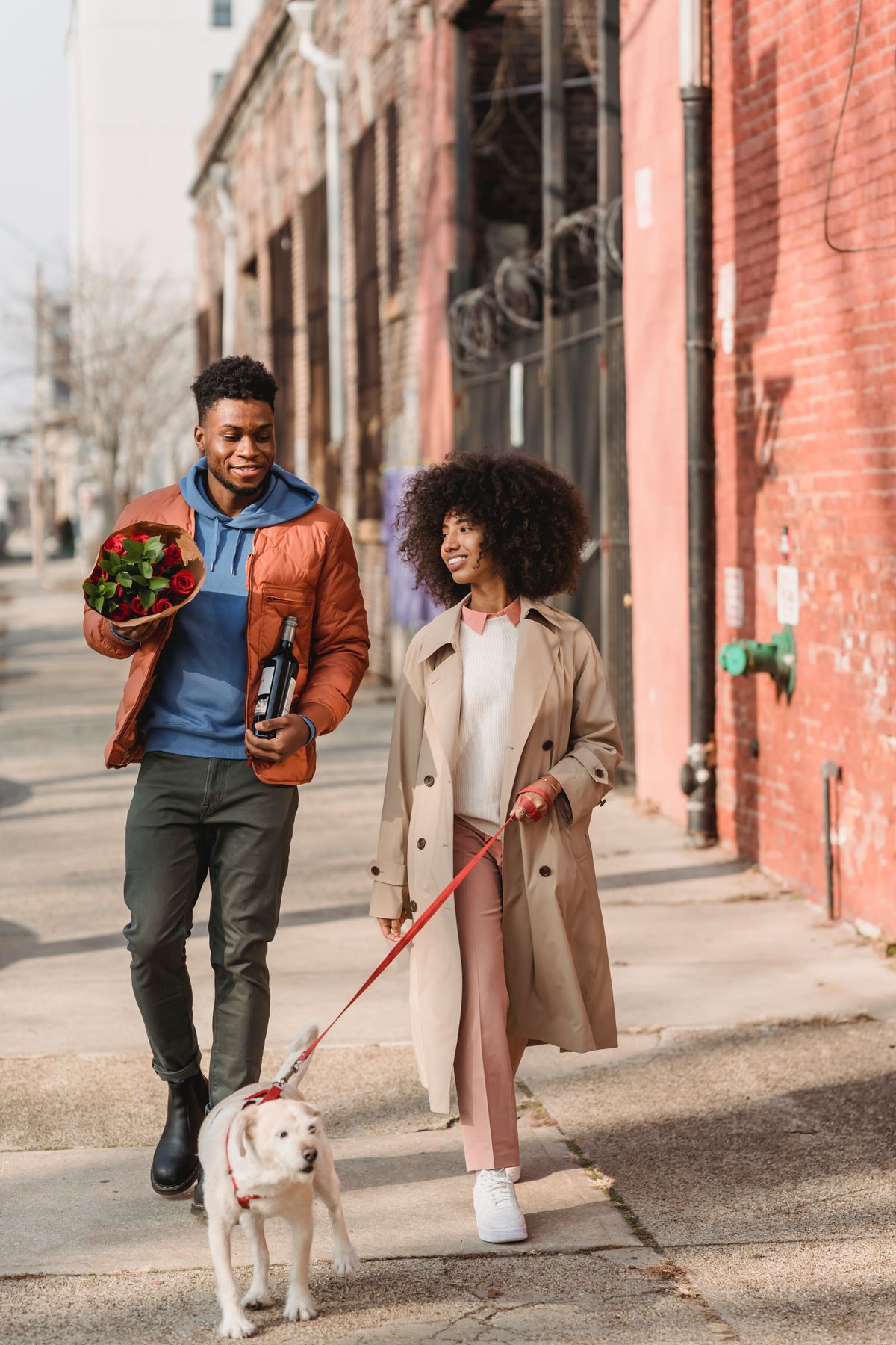 couple walking dog, signs that a casual relationship is getting serious