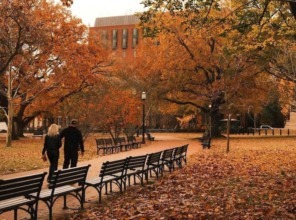 Couple walking in a park with autumn foliage and benches.