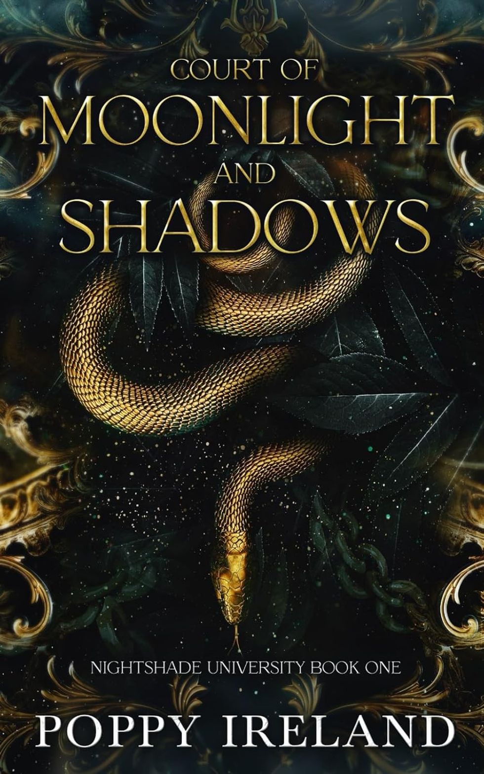 Court of Moonlight and Shadows by Poppy Ireland