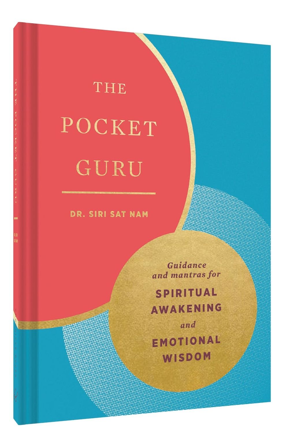 Cover of The Pocket Guru book