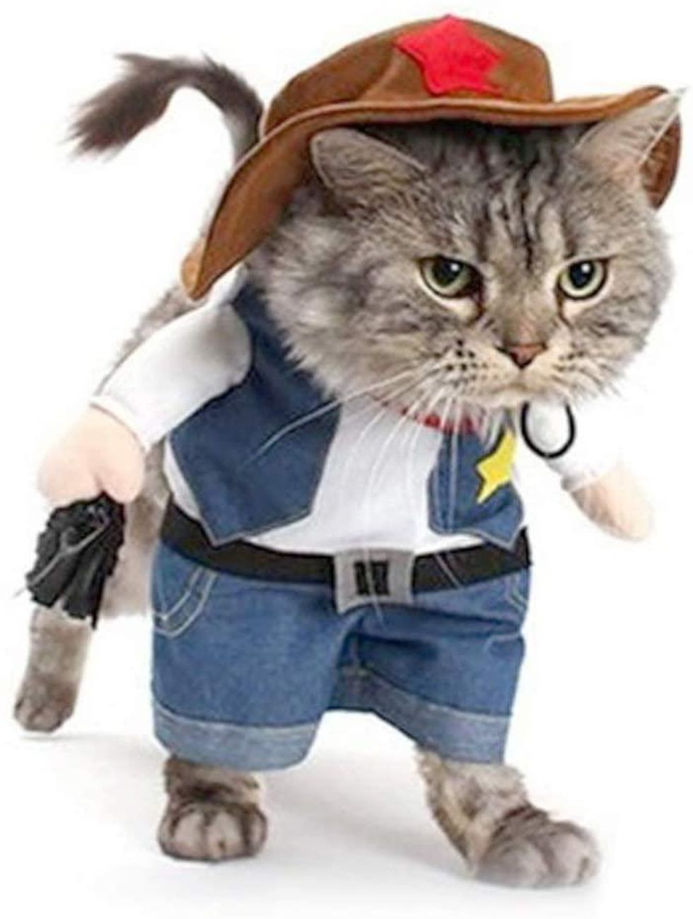 cowboy cat costume